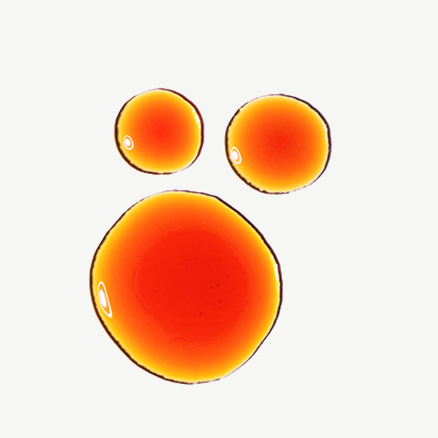 The Ordinary Pycnogenol 5 ilovemakeup